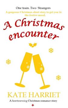 A Christmas Encounter - Book cover