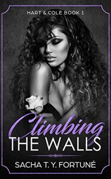 Climbing The Walls - Book cover