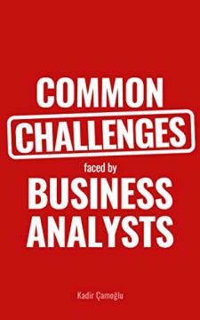 Common Challenges faced by Business Analysts by Kadir Çamoğlu. Book cover