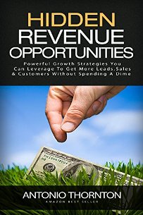 Hidden Revenue Opportunities - Book cover