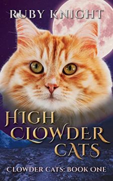 High Clowder Cats. Book by Ruby Knight. Book cover