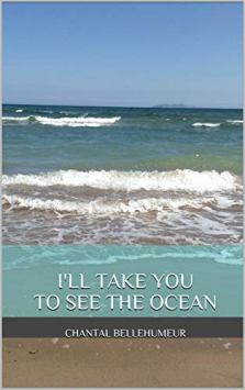 I'll Take You to See the Ocean - Book cover