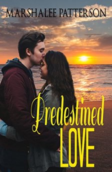 Predestined Love - Book cover
