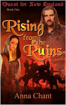 Rising from the Ruins - Book cover