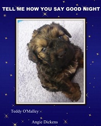 Tell Me How You Say Good Night by Teddy O'Malley. Book cover