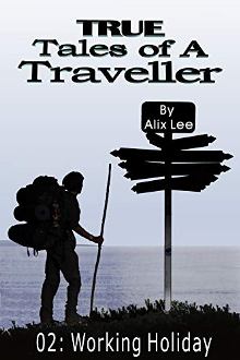 True Tales of a Traveller: Working Holiday - Book cover