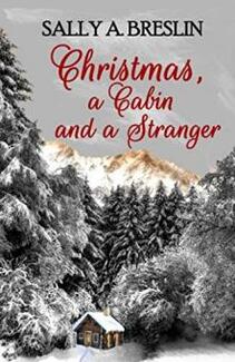 Christmas, a Cabin and a Stranger by Sally A. Breslin. Book cover.
