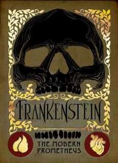 Frankenstein by Mary Shelley, book by Matt Hughes. Book cover.