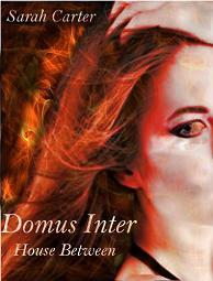 Domus Inter - House Between by Sarah Carter, Book cover.
