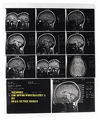 Memory - Escaping Psychiatry 3 by Olga Núñez Miret. Book cover.