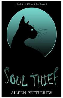 Soul Thief (book) by Aileen Pettigrew