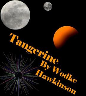 Tangerine by Wodke Hawkinson. Book cover