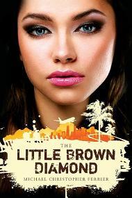 The Little Brown Diamond by Michael C Ferrier, Book cover.