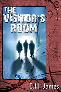 The Visitor's Room (book) by E. H. James
