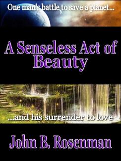 A Senseless Act of Beauty (book) by John B. Rosenman
