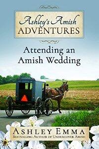 Ashley's Amish Adventures by Ashley Emma - Book 2 - Book cover.