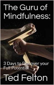 The Guru of Mindfulness by Ted Felton - Book cover.
