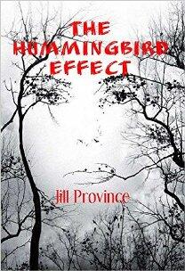 The Hummingbird Effect by Jill Province - Book cover.