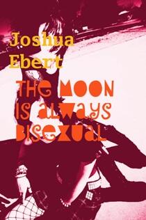The Moon Is Always Bisexual by Joshua Ebert - Book cover.
