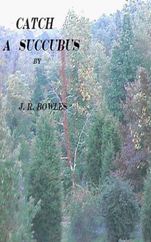 Catch A Succubus (book) by J.R. Bowles