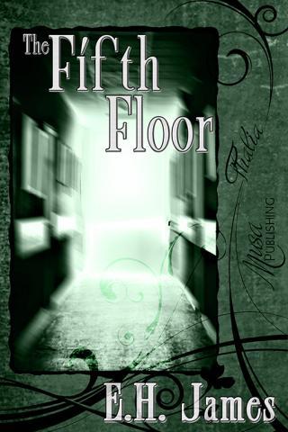 The Fifth Floor (book) by E. H. James