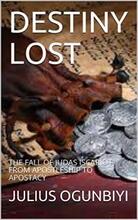 Destiny Lost by Julius Ogunbiyi. Book cover.
