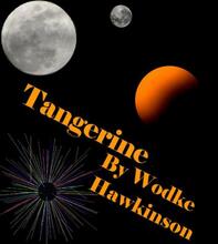 Tangerine by Wodke Hawkinson. Book cover
