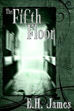 The Fifth Floor (book) by E. H. James