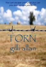 TORN (book) by Gilli Allan.