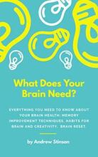 What Does Your Brain Need? by Andrew Stinson - Book cover.